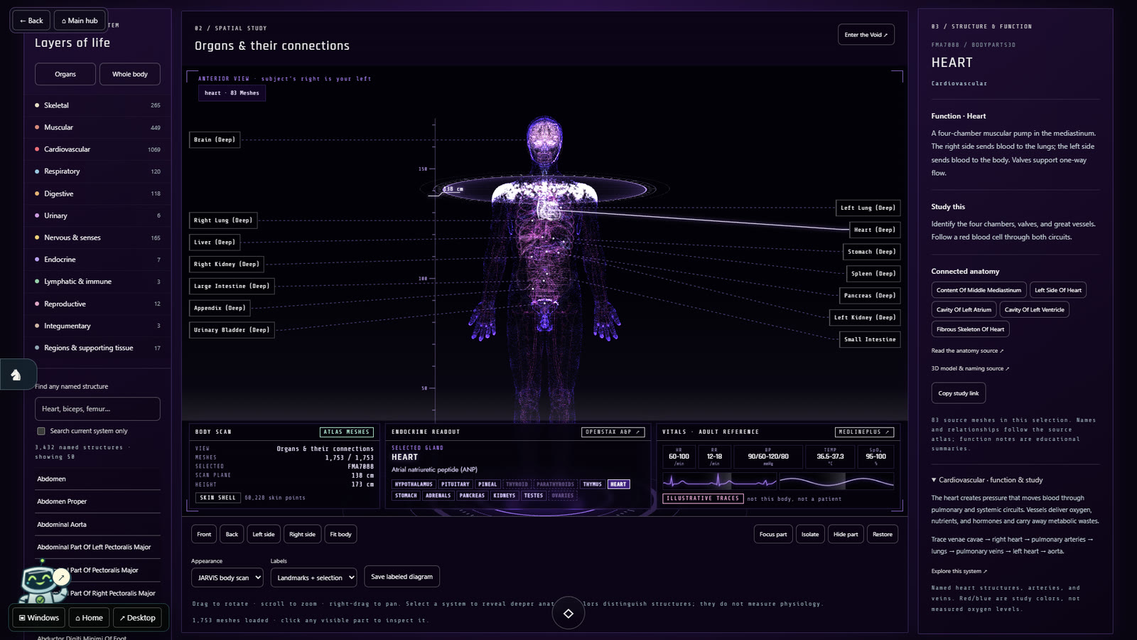 Azula’s anatomy atlas showing organs and their connections